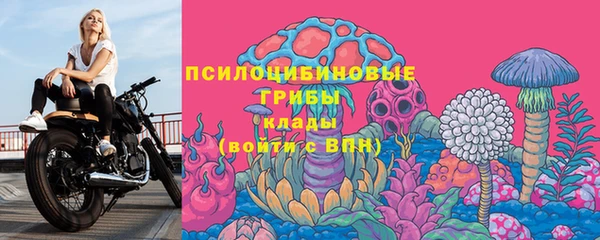 прущий лед Абаза