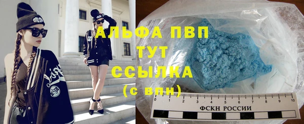 индика Абдулино