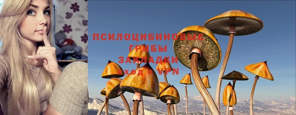 индика Абдулино