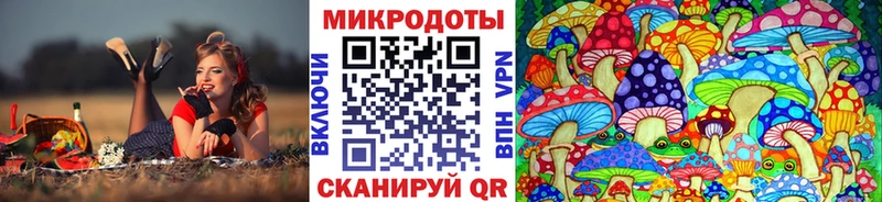 Псилоцибиновые грибы прущие грибы  Киржач 